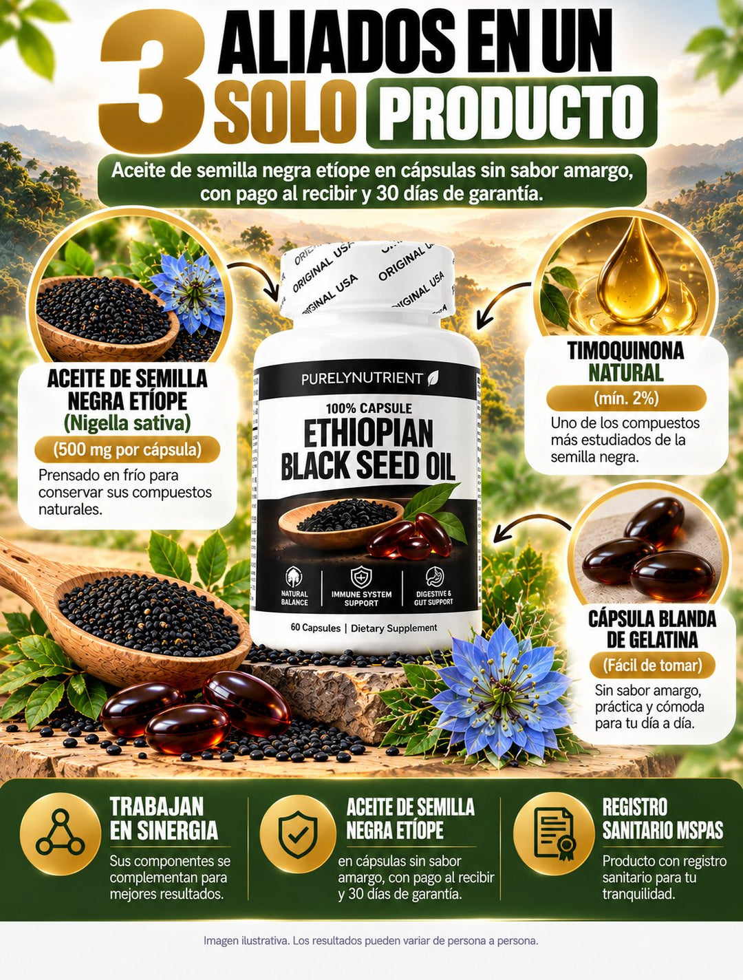 Aceite de Semilla Negra Etíope · 60 cápsulas